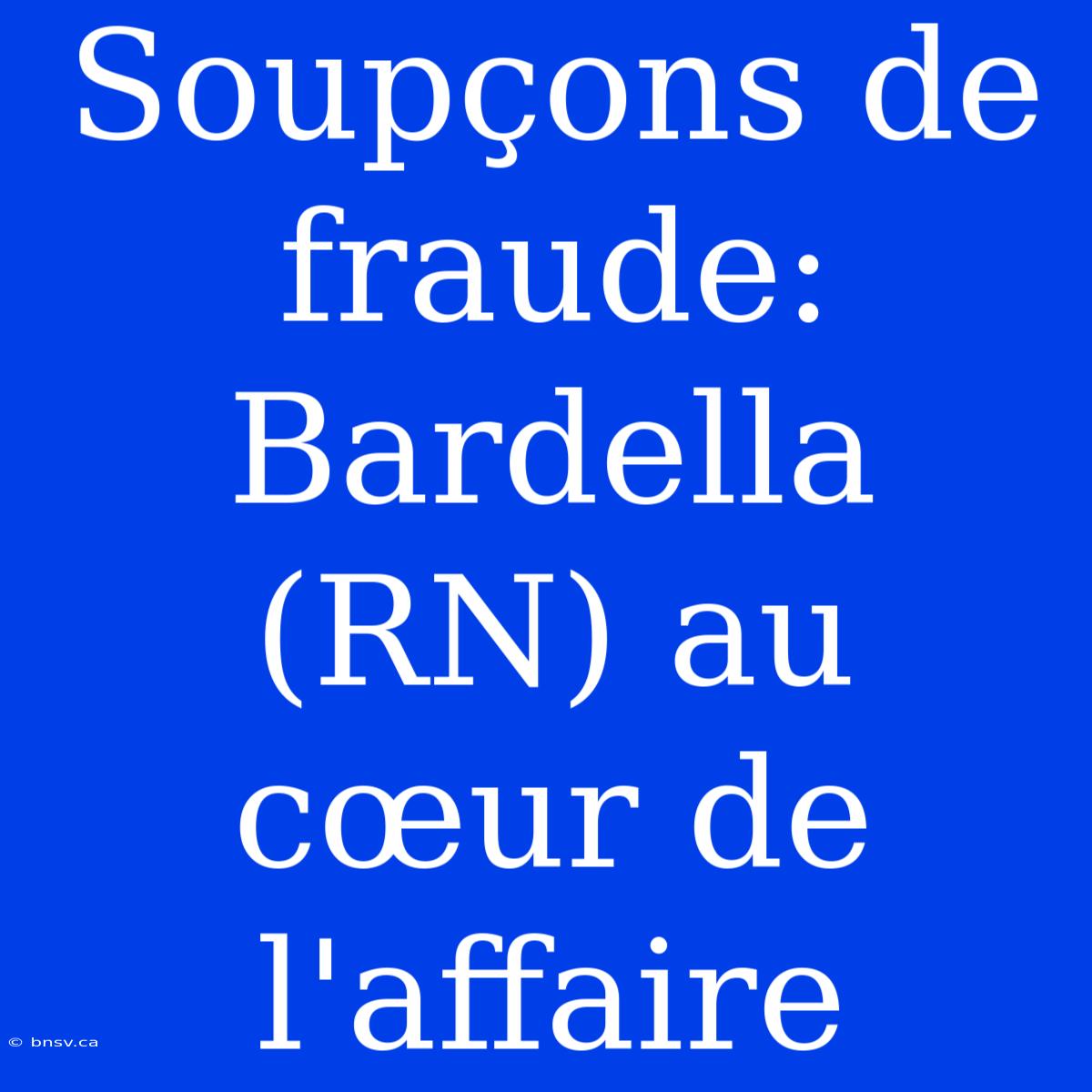 Soupçons De Fraude: Bardella (RN) Au Cœur De L'affaire