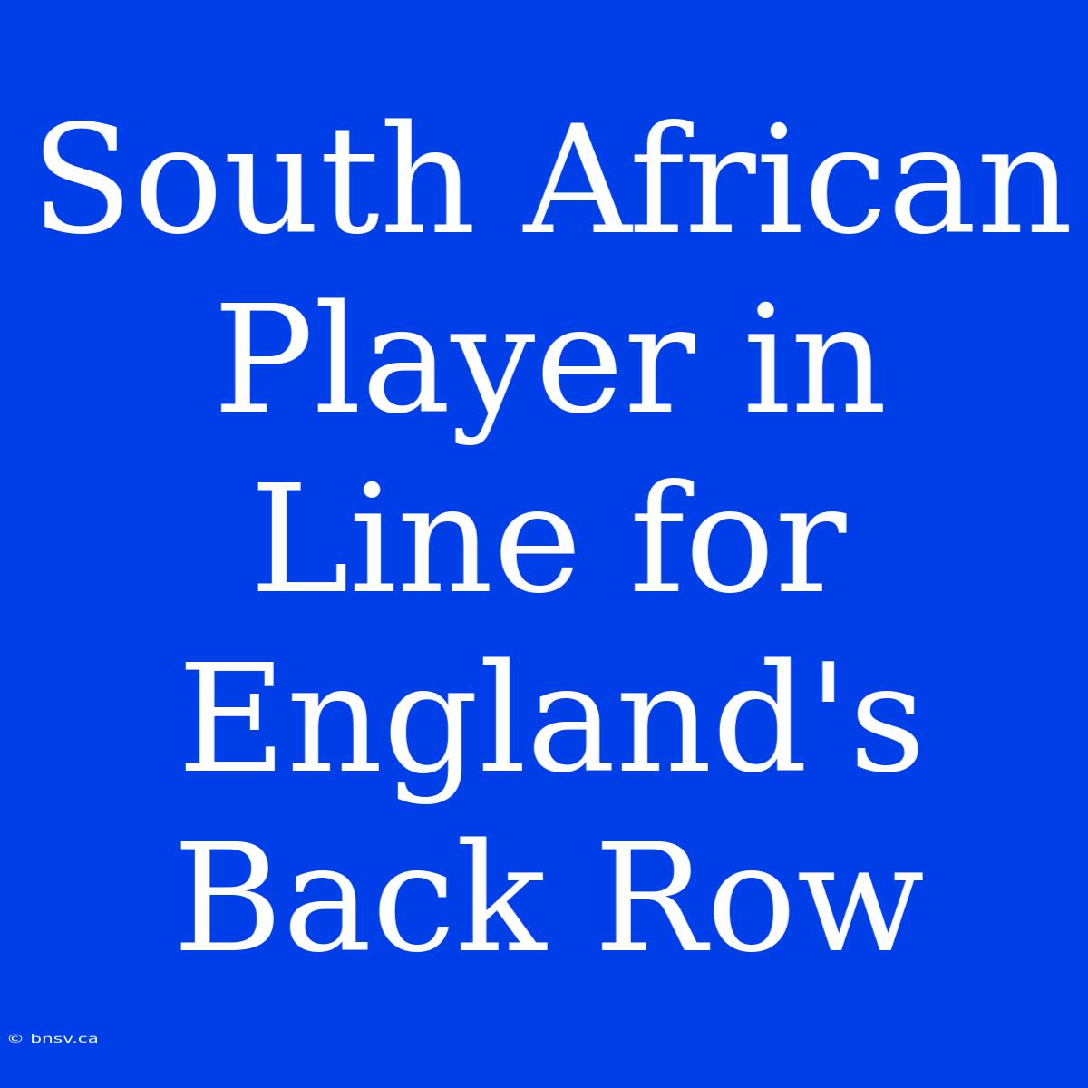 South African Player In Line For England's Back Row