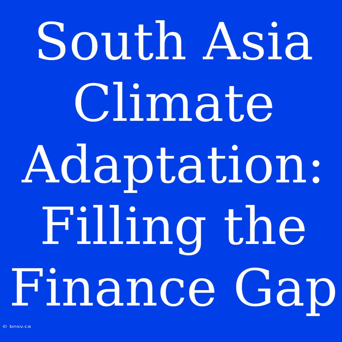 South Asia Climate Adaptation: Filling The Finance Gap