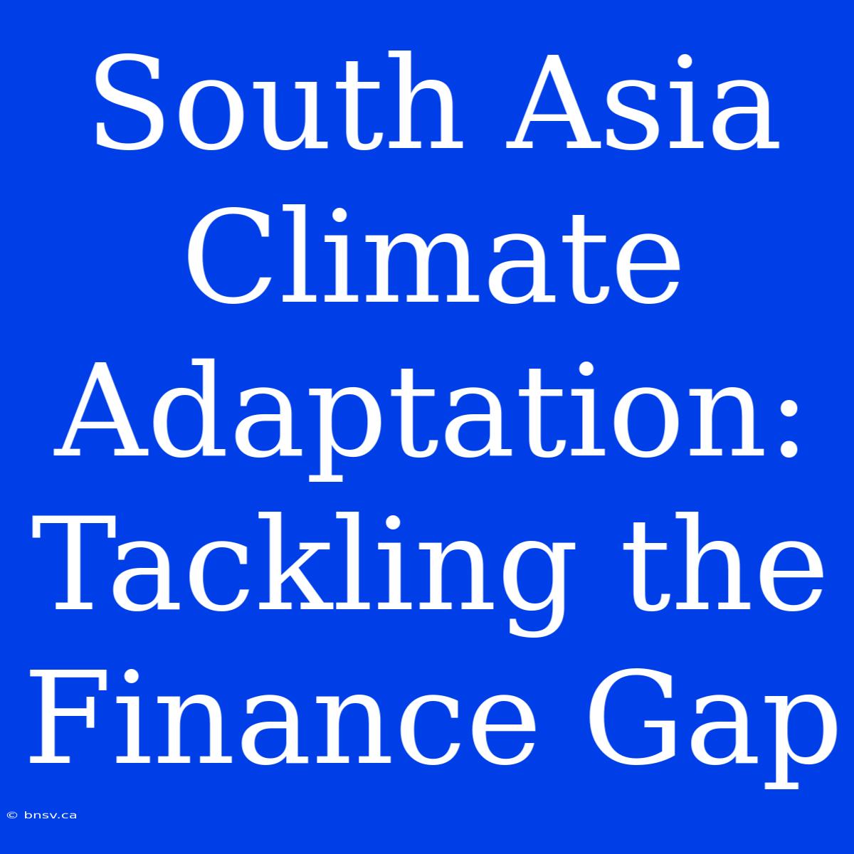 South Asia Climate Adaptation: Tackling The Finance Gap