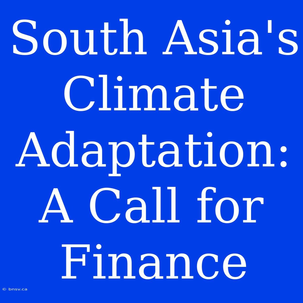 South Asia's Climate Adaptation: A Call For Finance