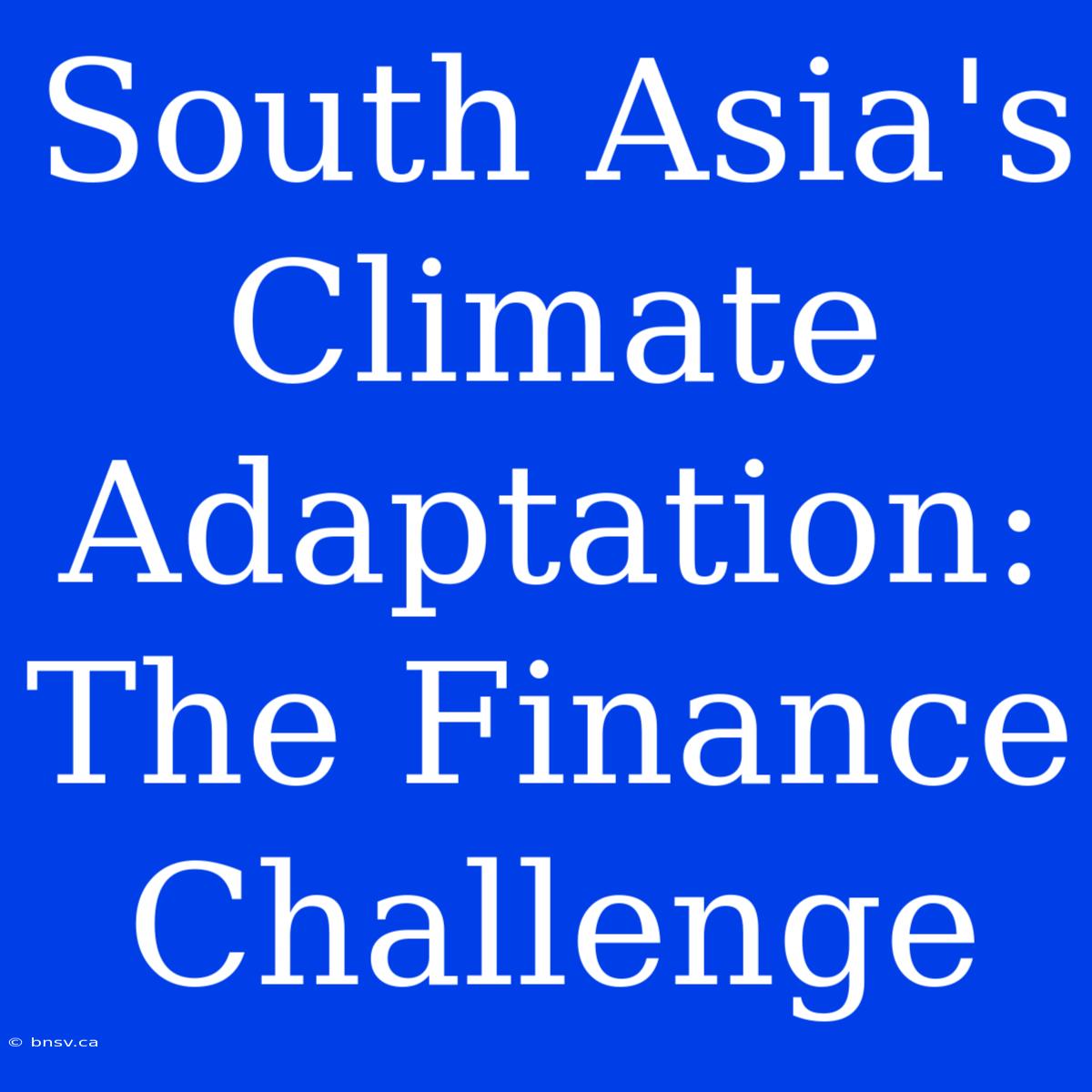 South Asia's Climate Adaptation: The Finance Challenge