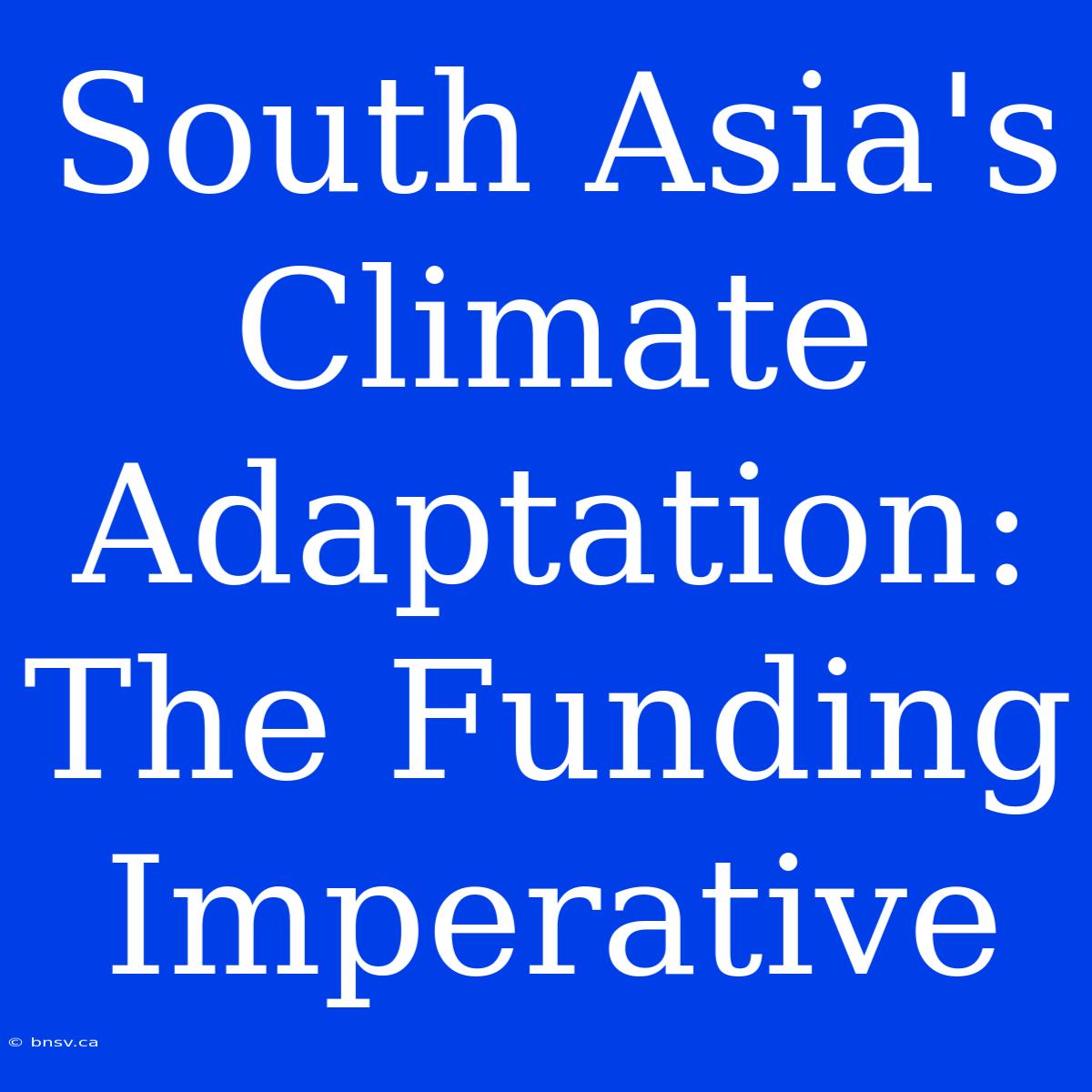 South Asia's Climate Adaptation: The Funding Imperative