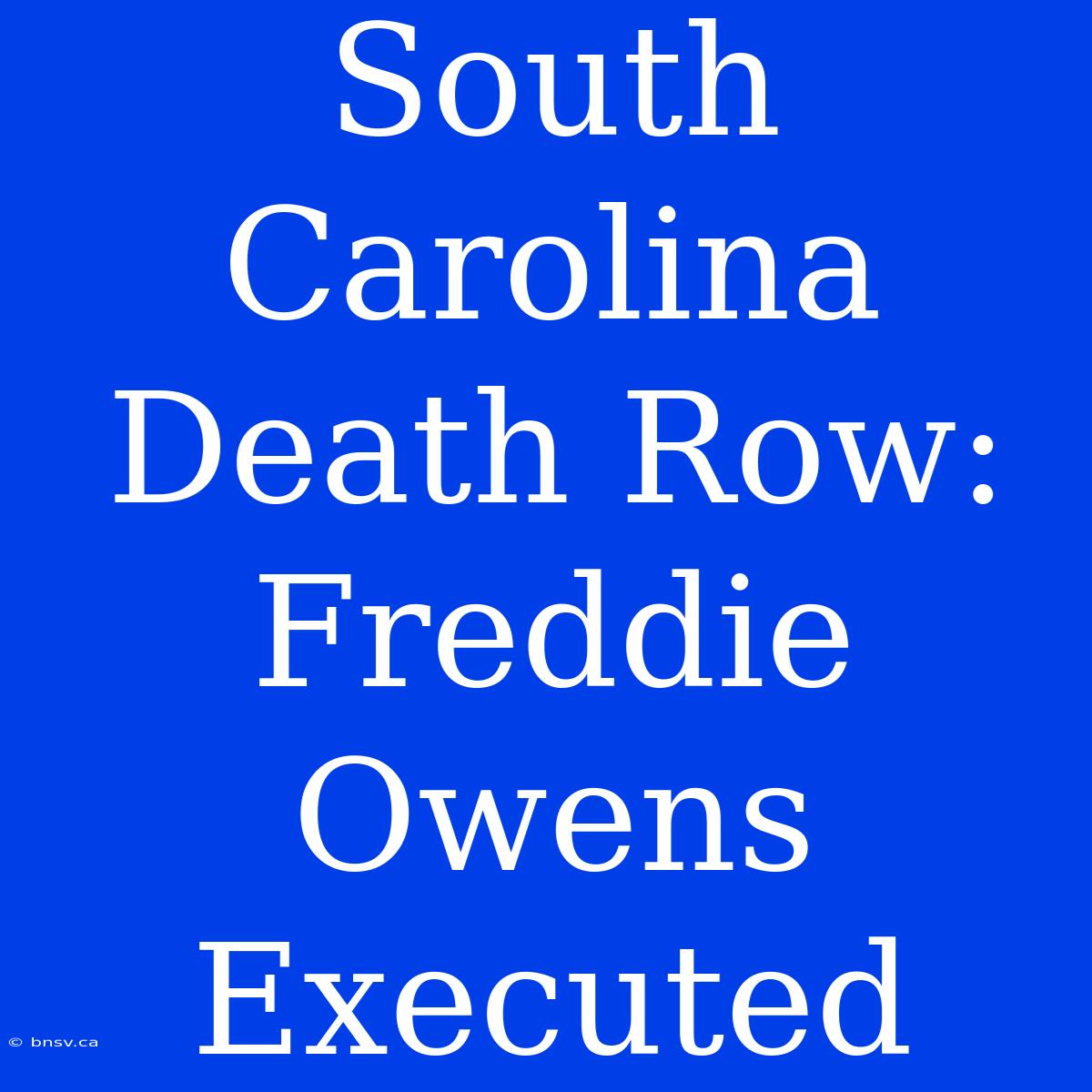 South Carolina Death Row: Freddie Owens Executed