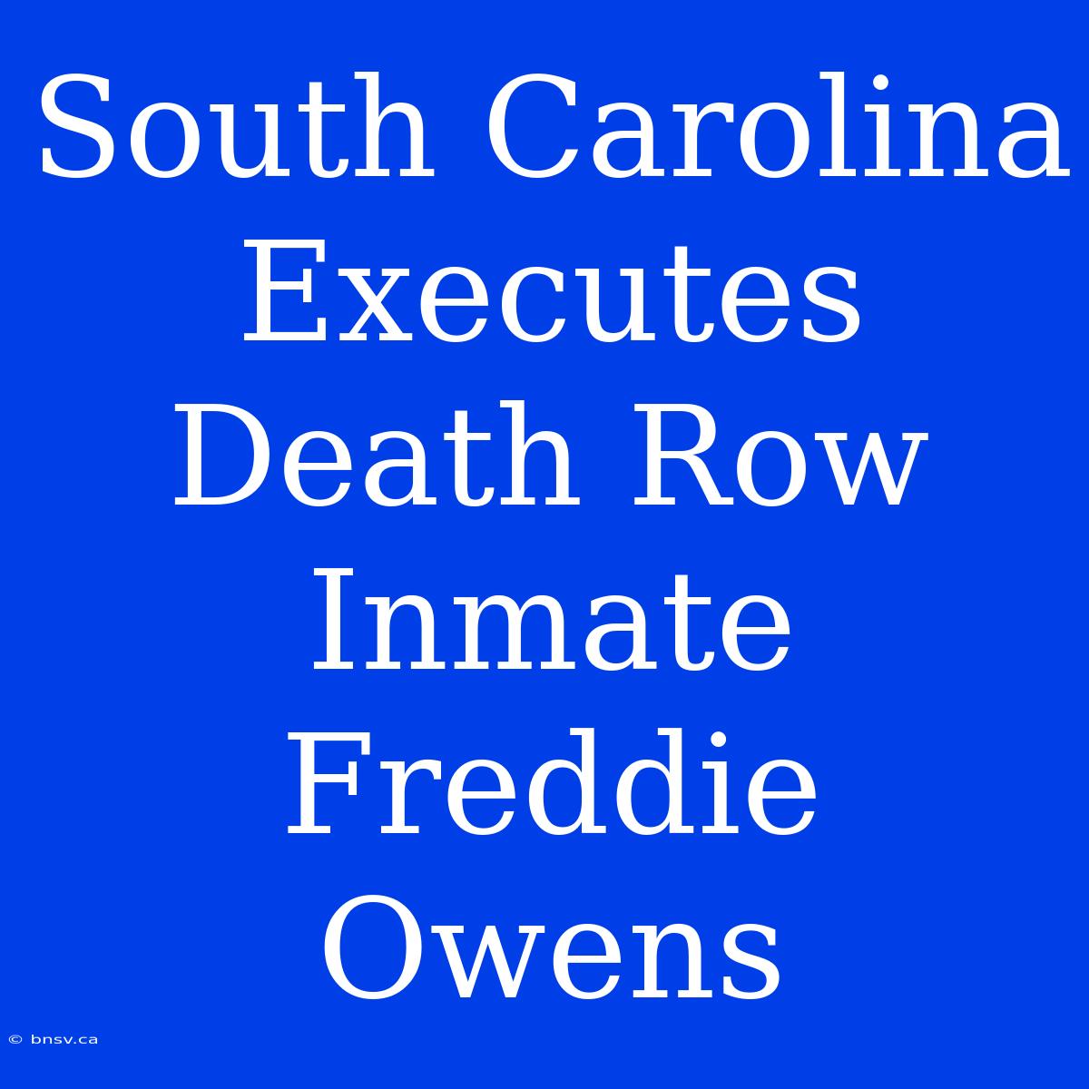 South Carolina Executes Death Row Inmate Freddie Owens