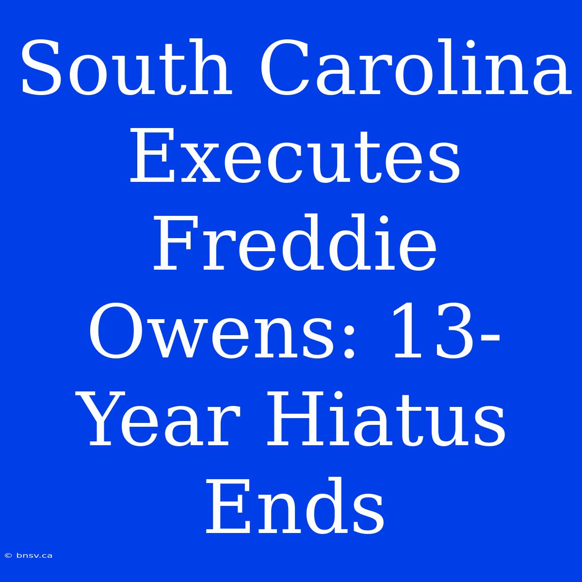 South Carolina Executes Freddie Owens: 13-Year Hiatus Ends