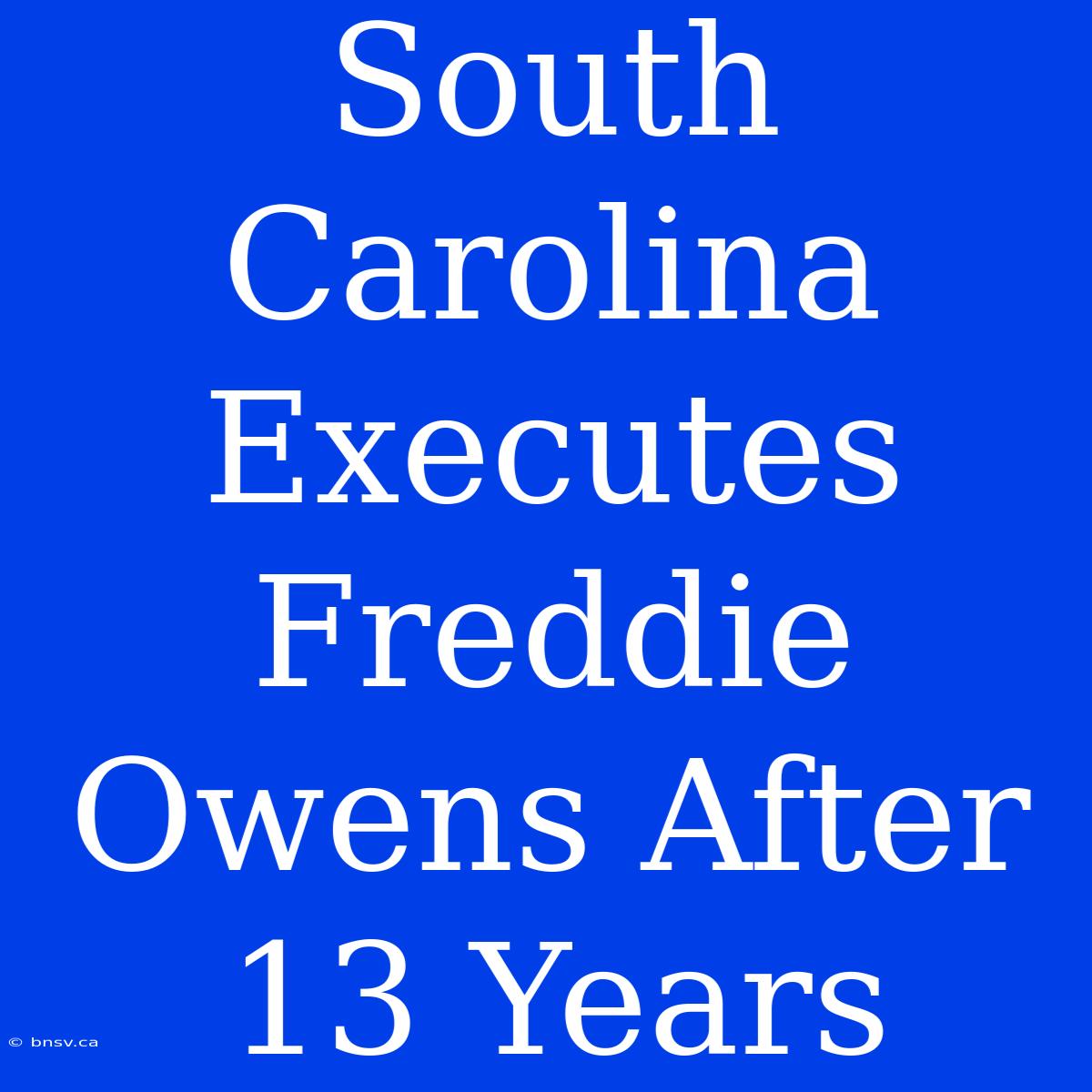 South Carolina Executes Freddie Owens After 13 Years