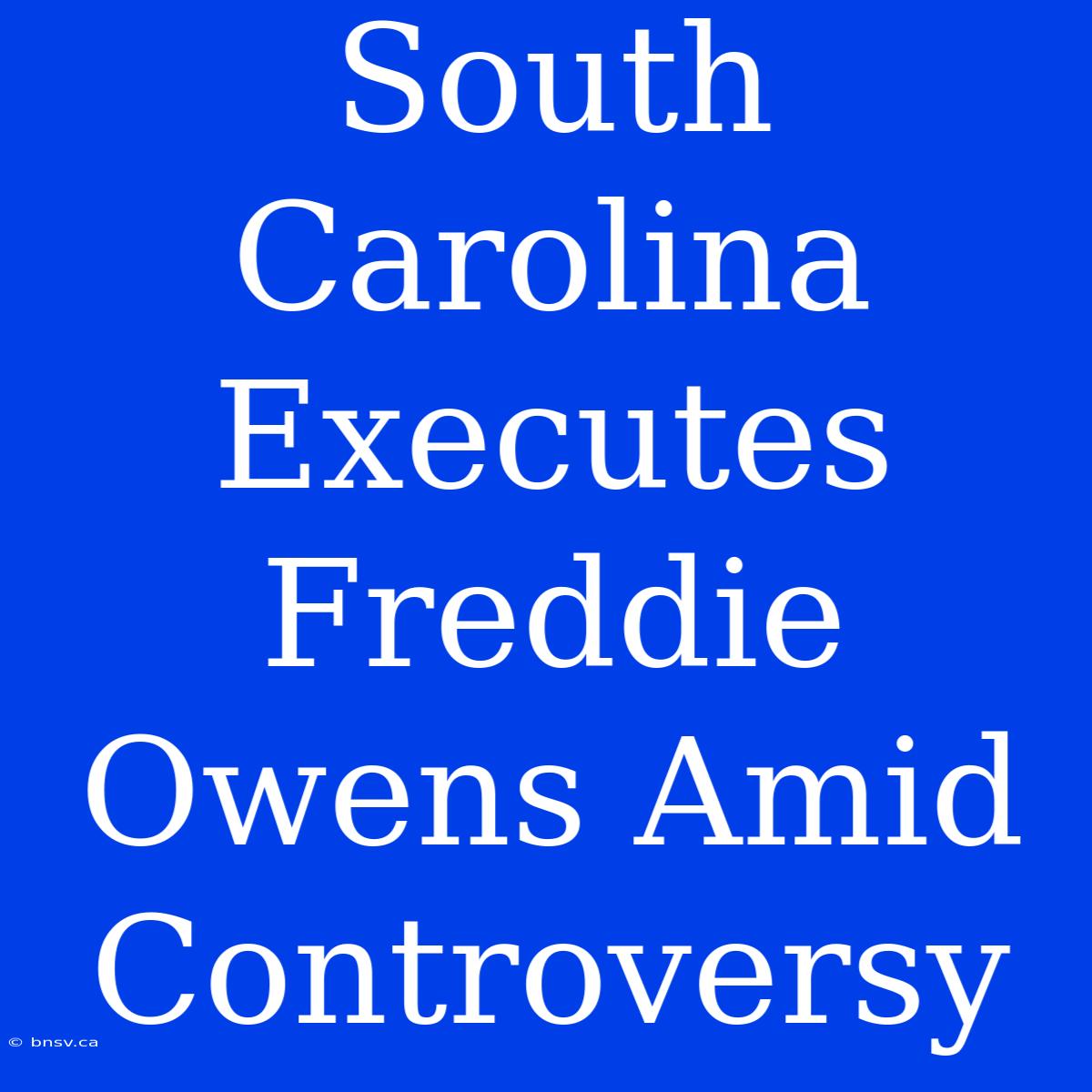 South Carolina Executes Freddie Owens Amid Controversy