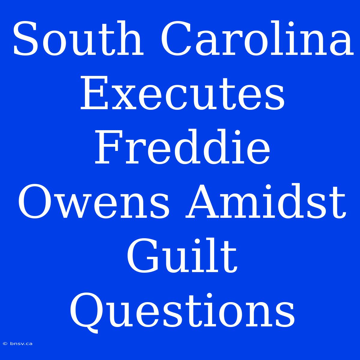 South Carolina Executes Freddie Owens Amidst Guilt Questions