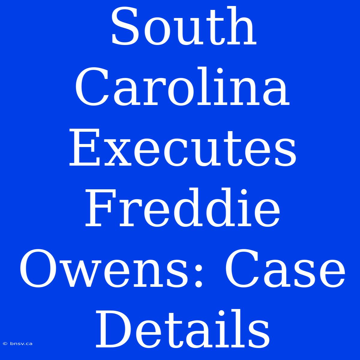 South Carolina Executes Freddie Owens: Case Details