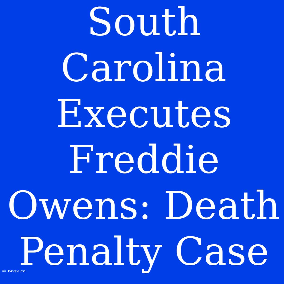 South Carolina Executes Freddie Owens: Death Penalty Case