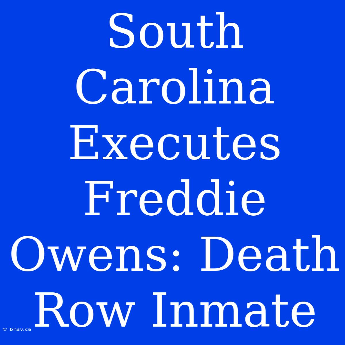 South Carolina Executes Freddie Owens: Death Row Inmate