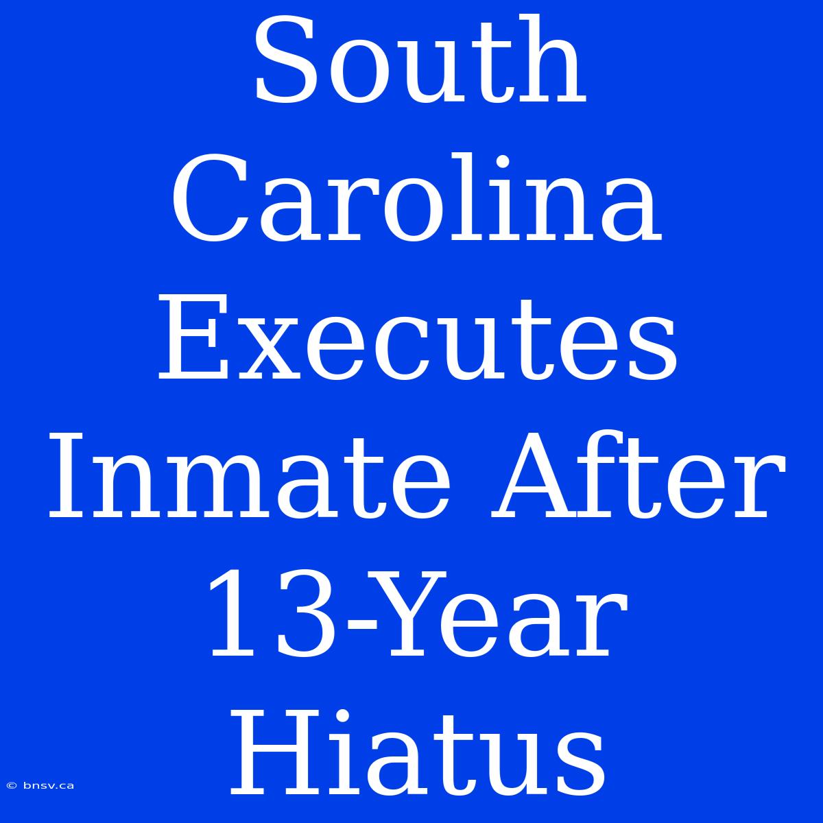 South Carolina Executes Inmate After 13-Year Hiatus