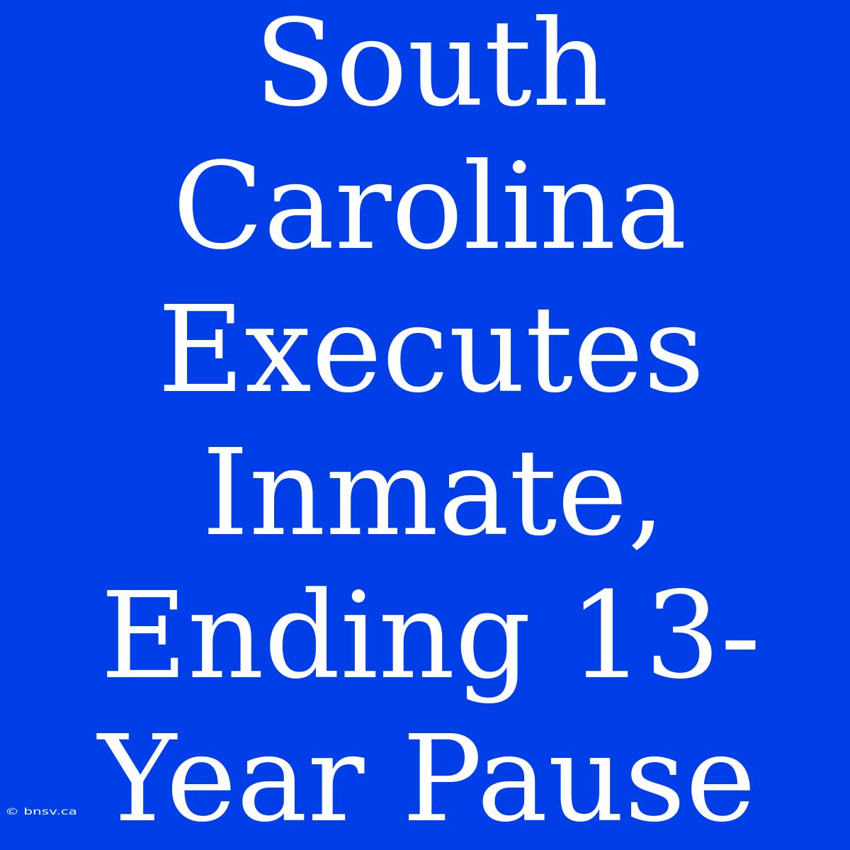 South Carolina Executes Inmate, Ending 13-Year Pause