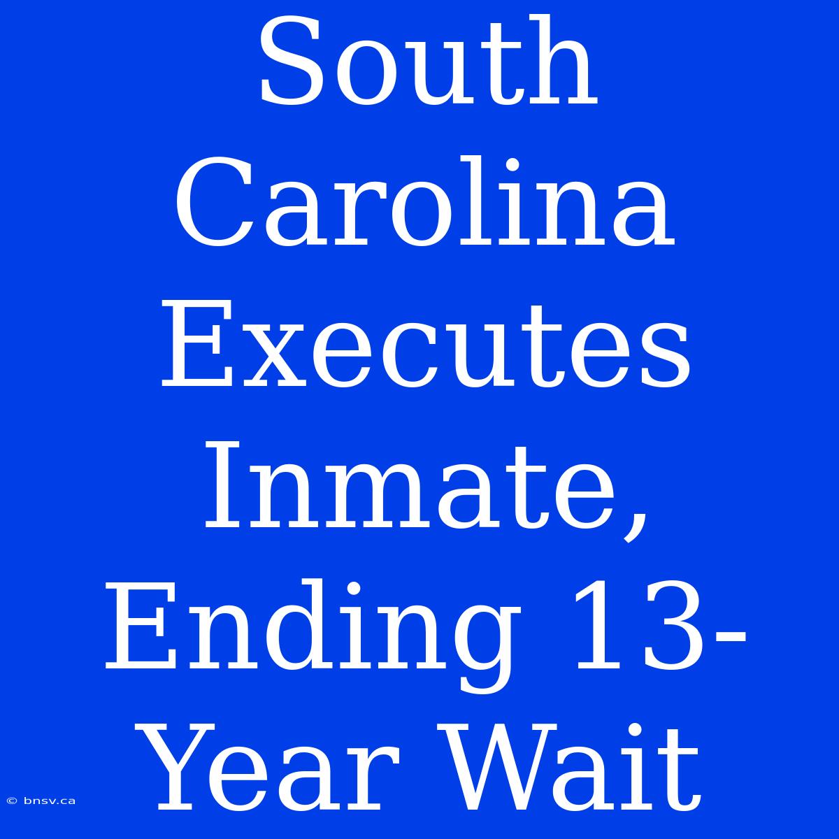 South Carolina Executes Inmate, Ending 13-Year Wait