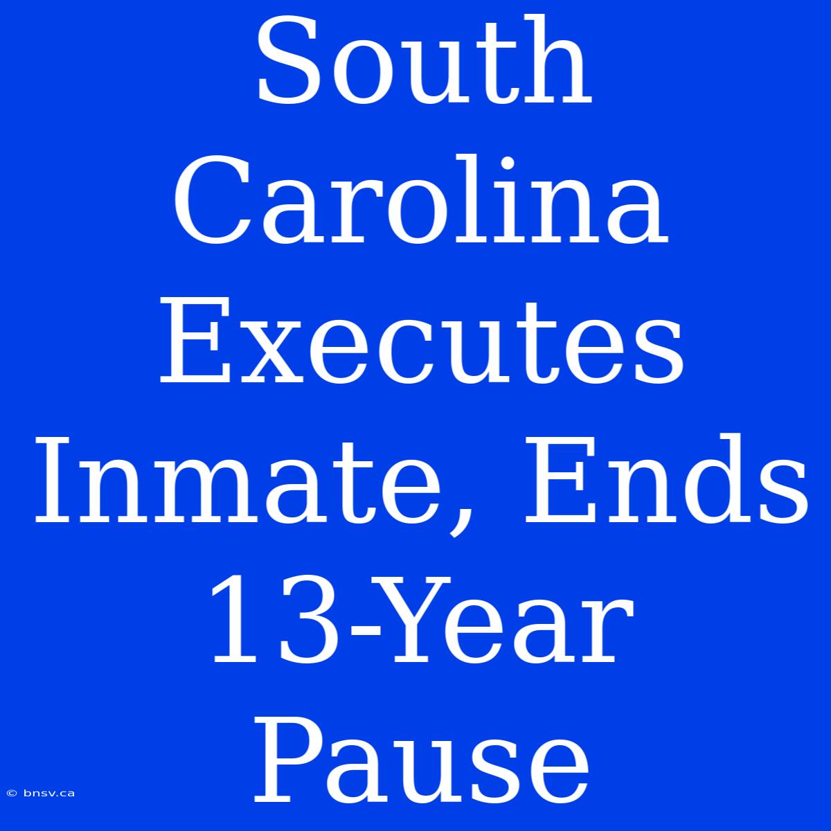 South Carolina Executes Inmate, Ends 13-Year Pause