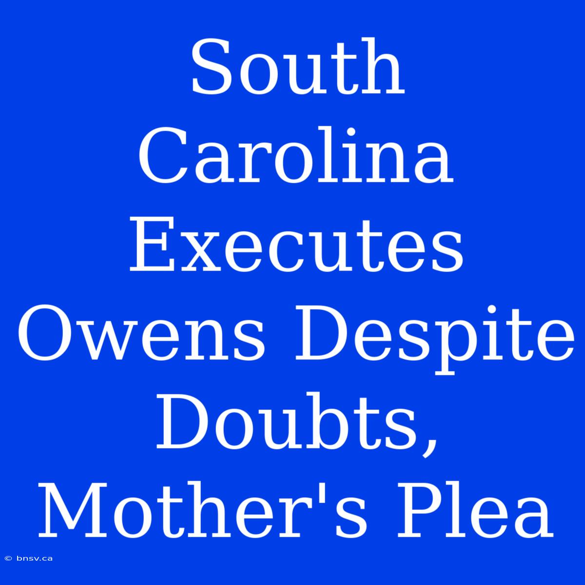 South Carolina Executes Owens Despite Doubts, Mother's Plea