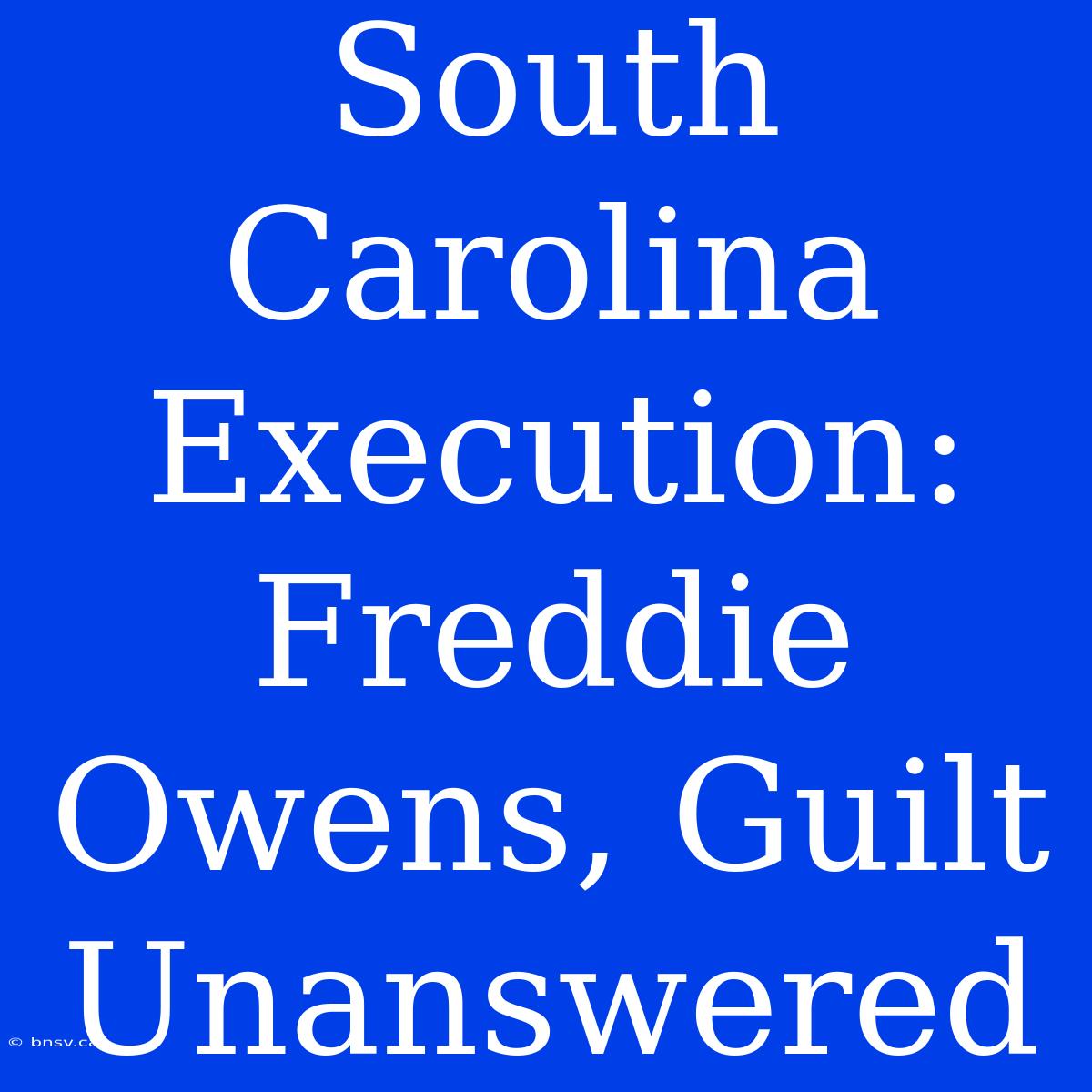 South Carolina Execution: Freddie Owens, Guilt Unanswered