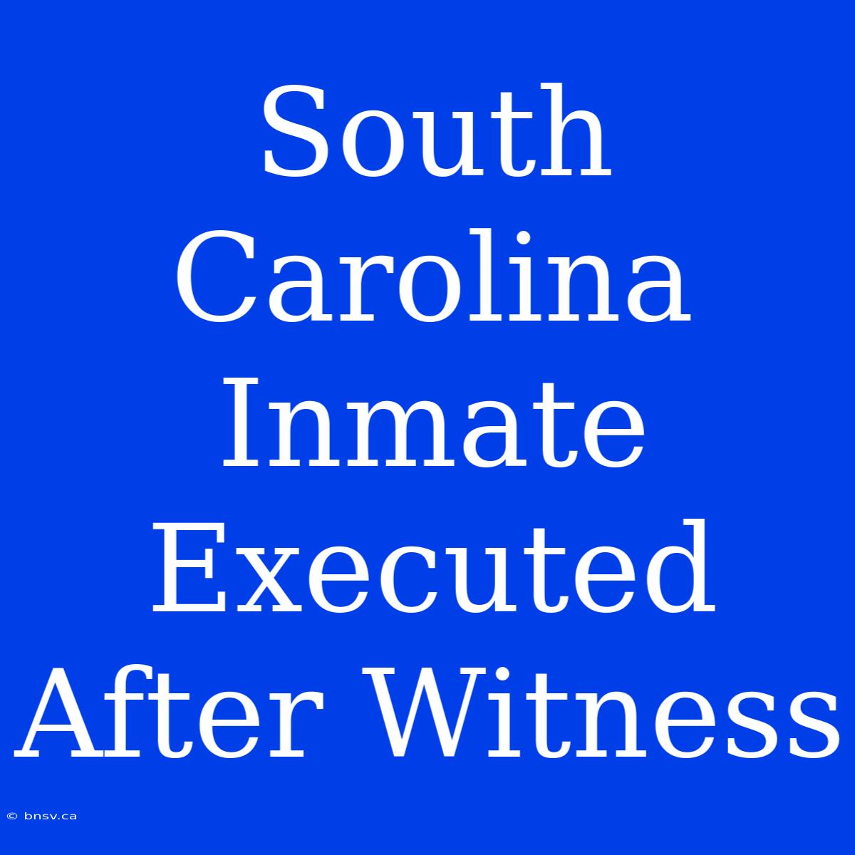 South Carolina Inmate Executed After Witness