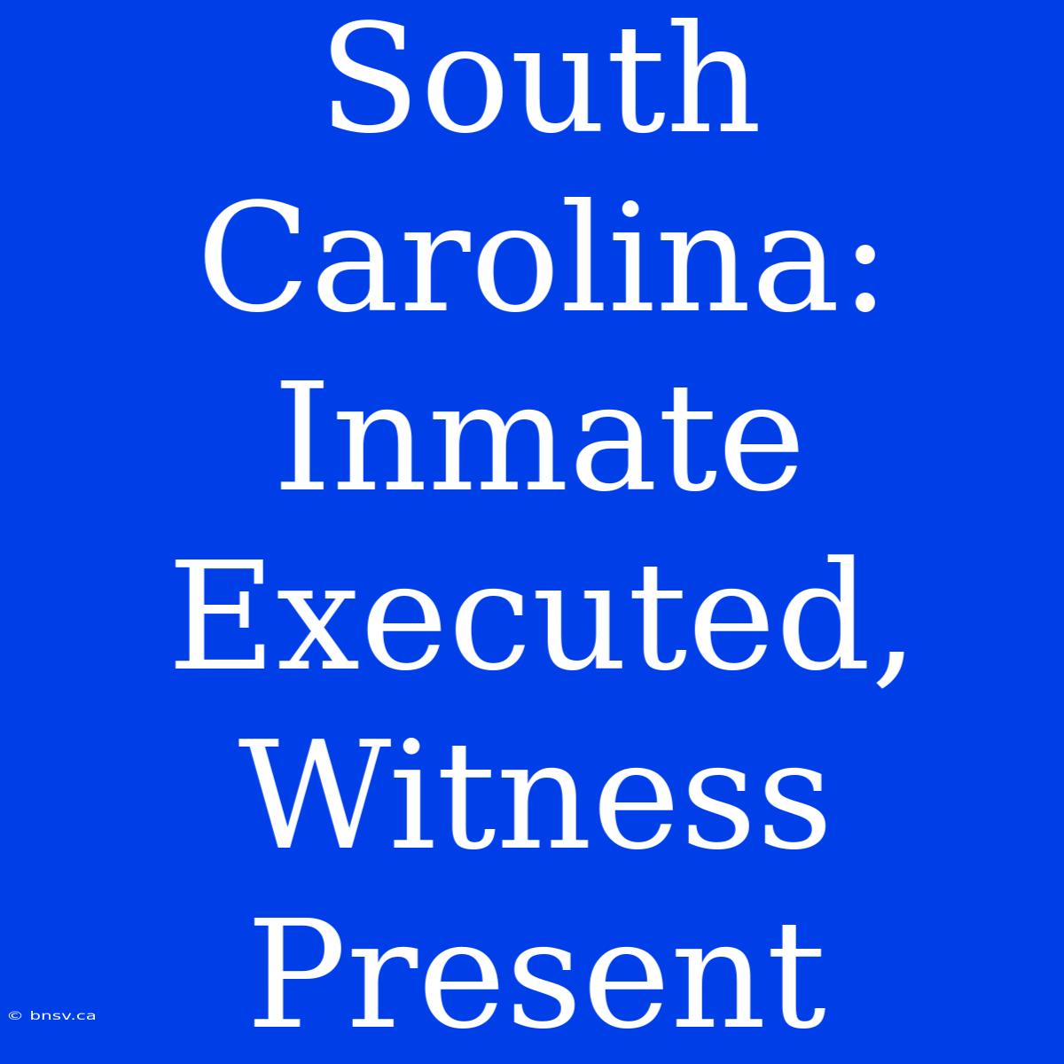 South Carolina: Inmate Executed, Witness Present