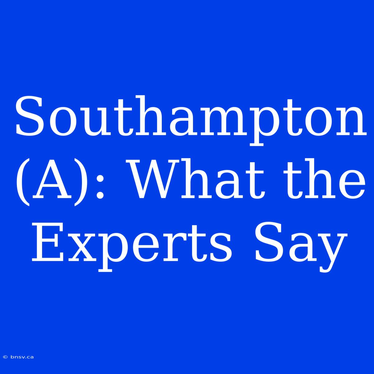 Southampton (A): What The Experts Say