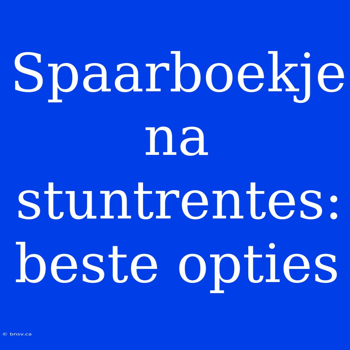 Spaarboekje Na Stuntrentes: Beste Opties