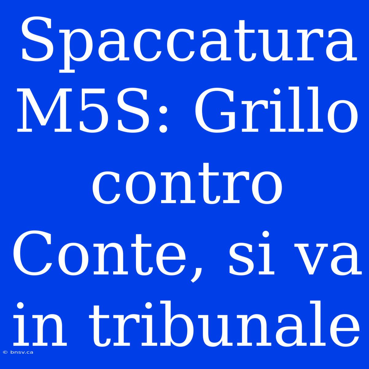 Spaccatura M5S: Grillo Contro Conte, Si Va In Tribunale