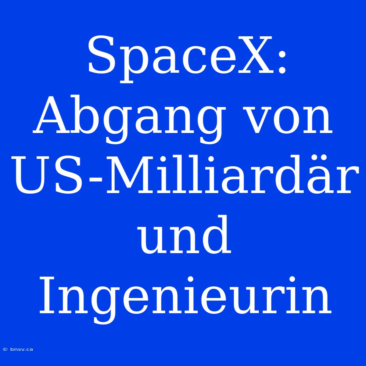 SpaceX: Abgang Von US-Milliardär Und Ingenieurin