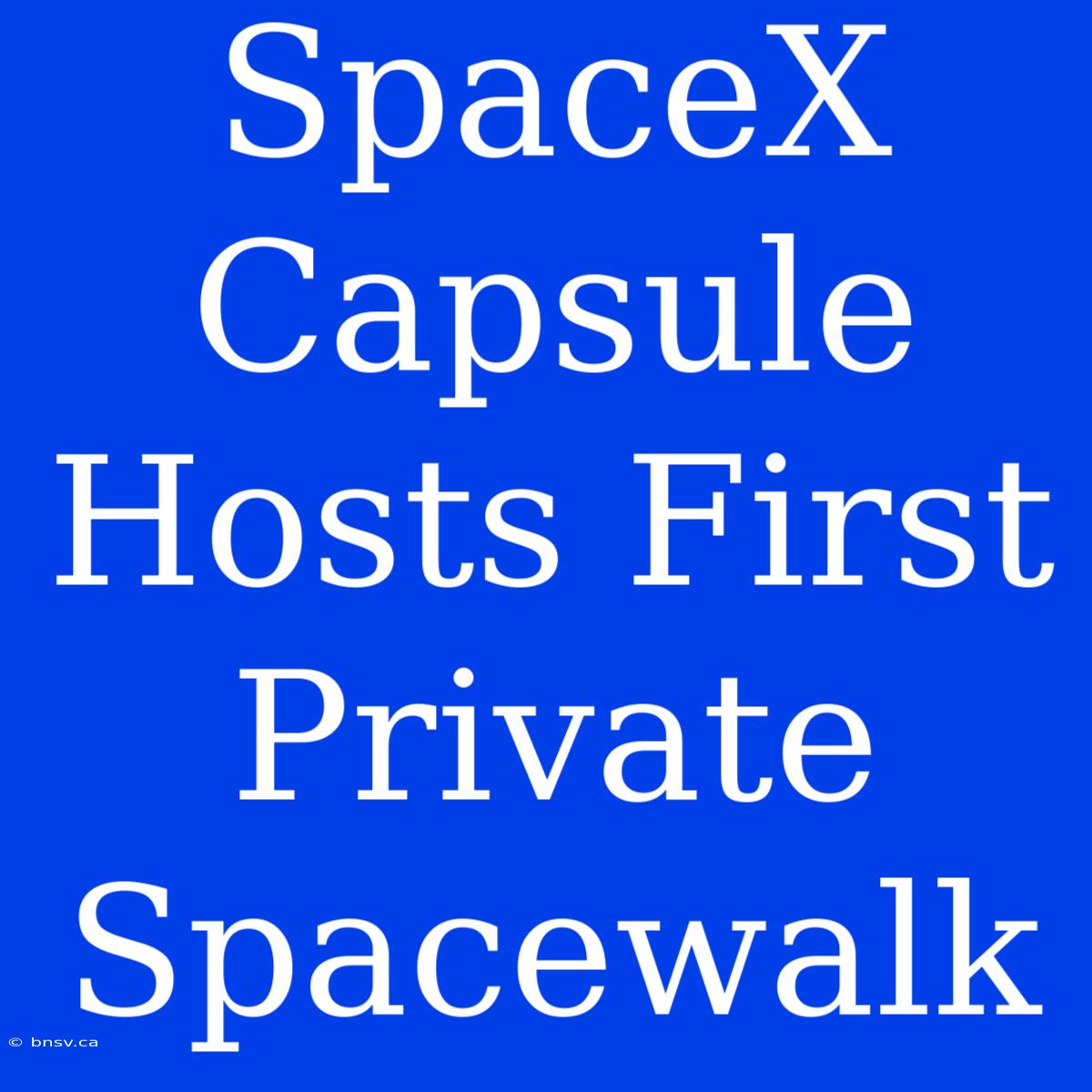 SpaceX Capsule Hosts First Private Spacewalk