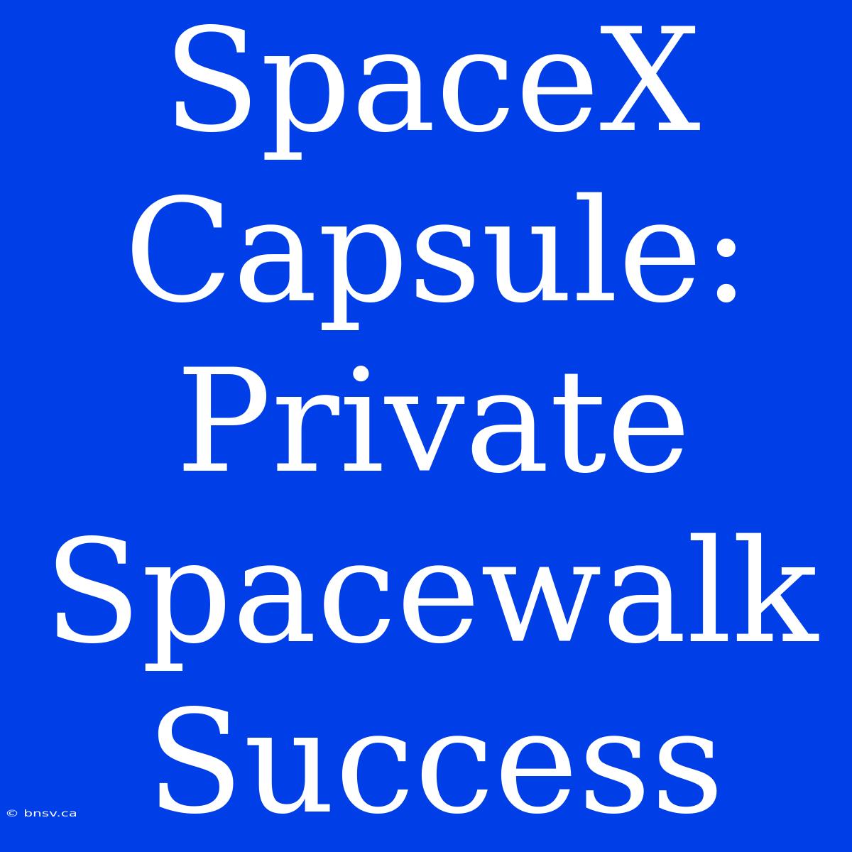 SpaceX Capsule: Private Spacewalk Success