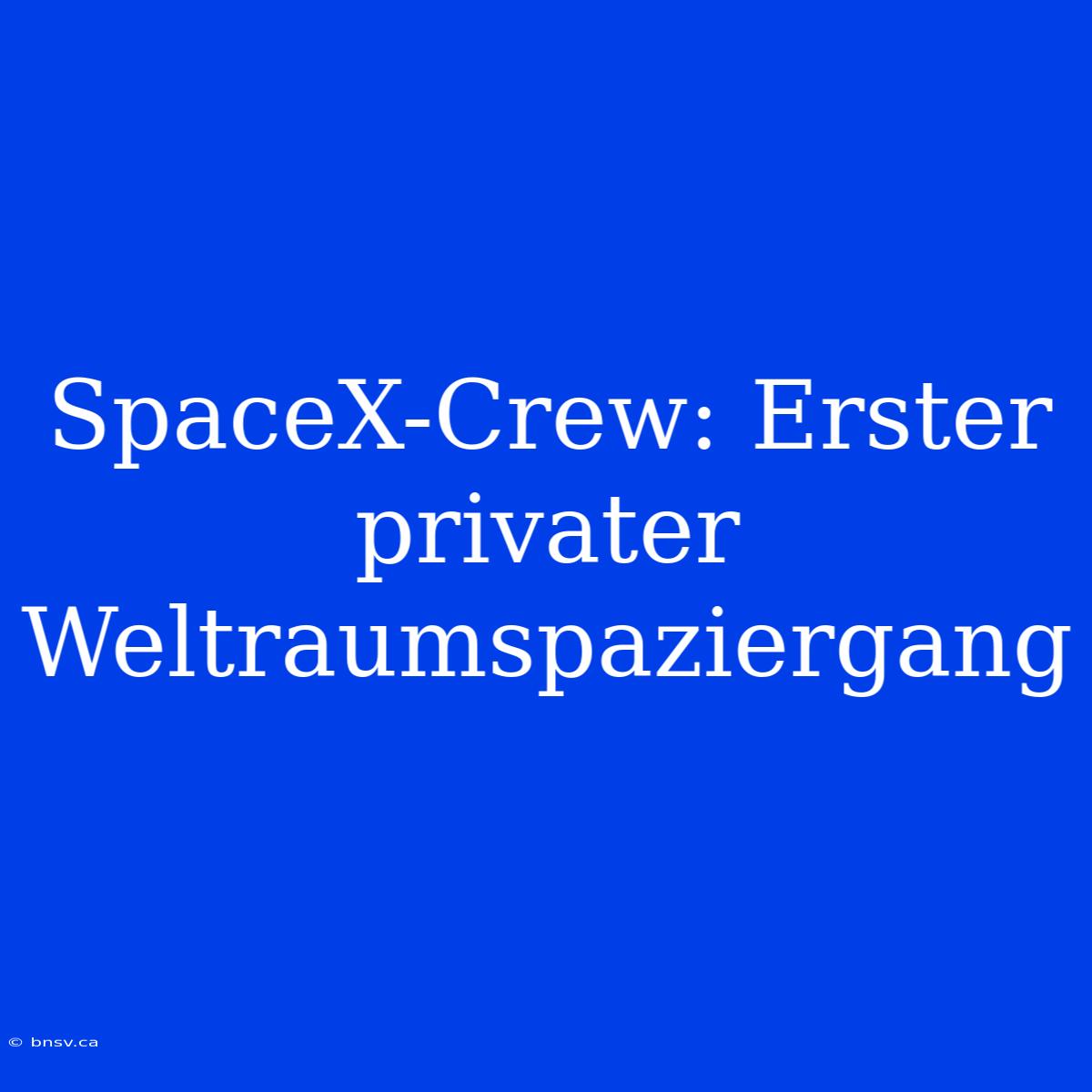 SpaceX-Crew: Erster Privater Weltraumspaziergang