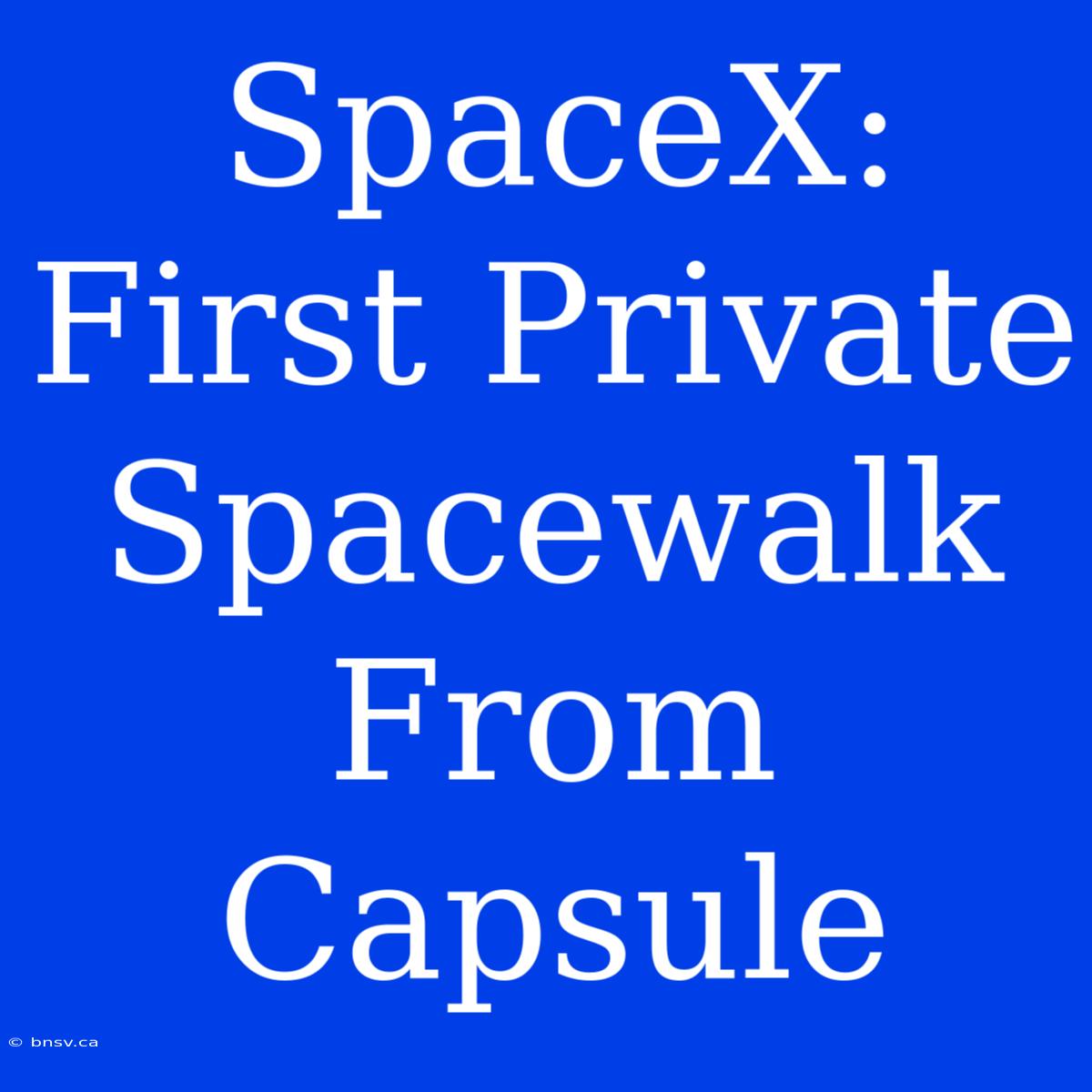 SpaceX: First Private Spacewalk From Capsule