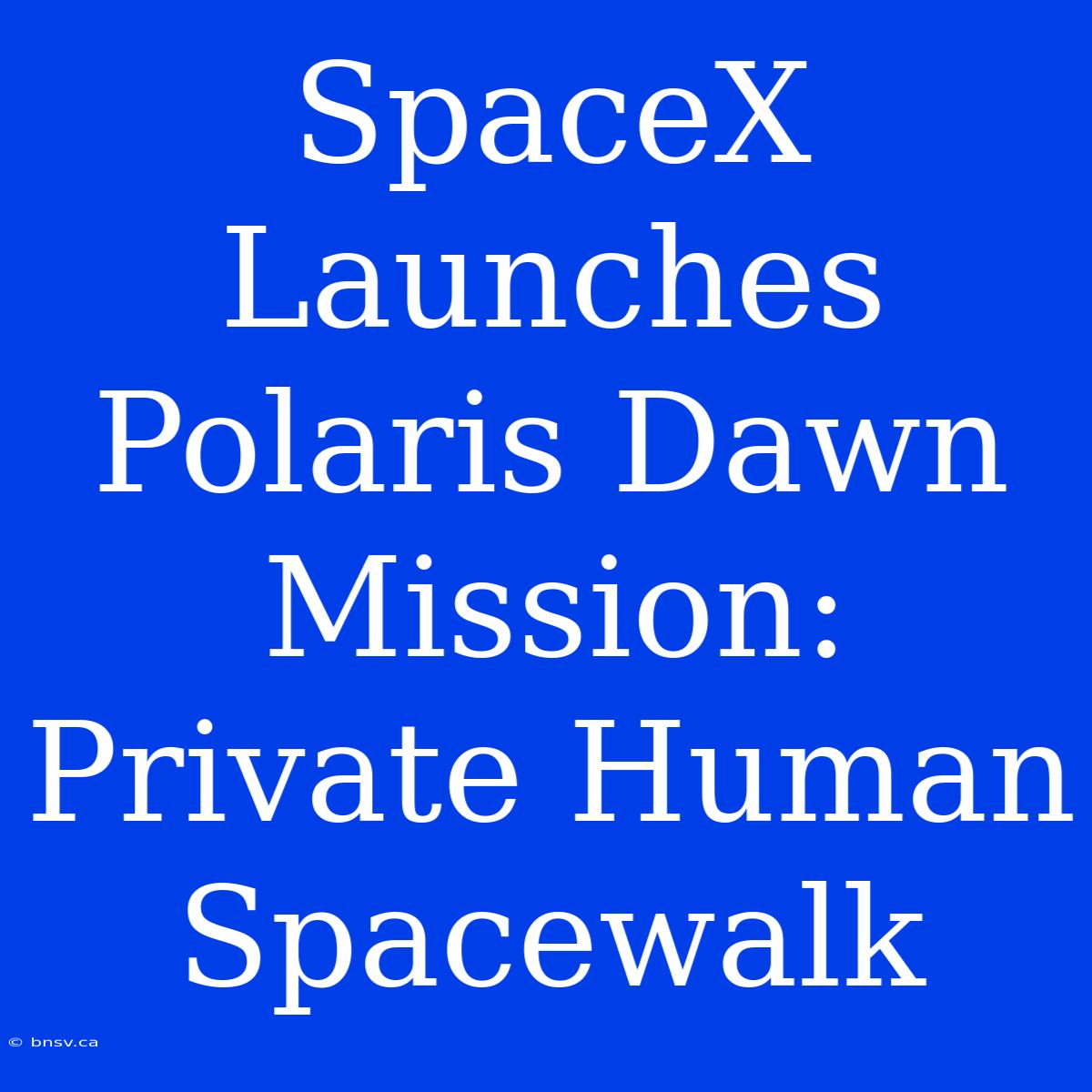 SpaceX Launches Polaris Dawn Mission: Private Human Spacewalk