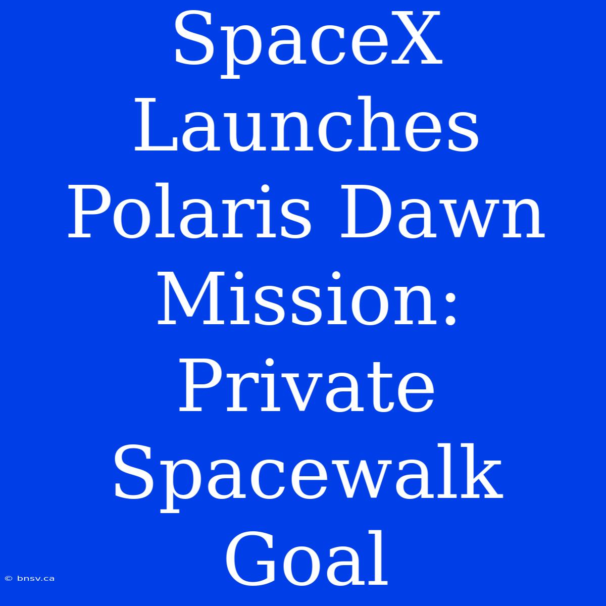 SpaceX Launches Polaris Dawn Mission: Private Spacewalk Goal