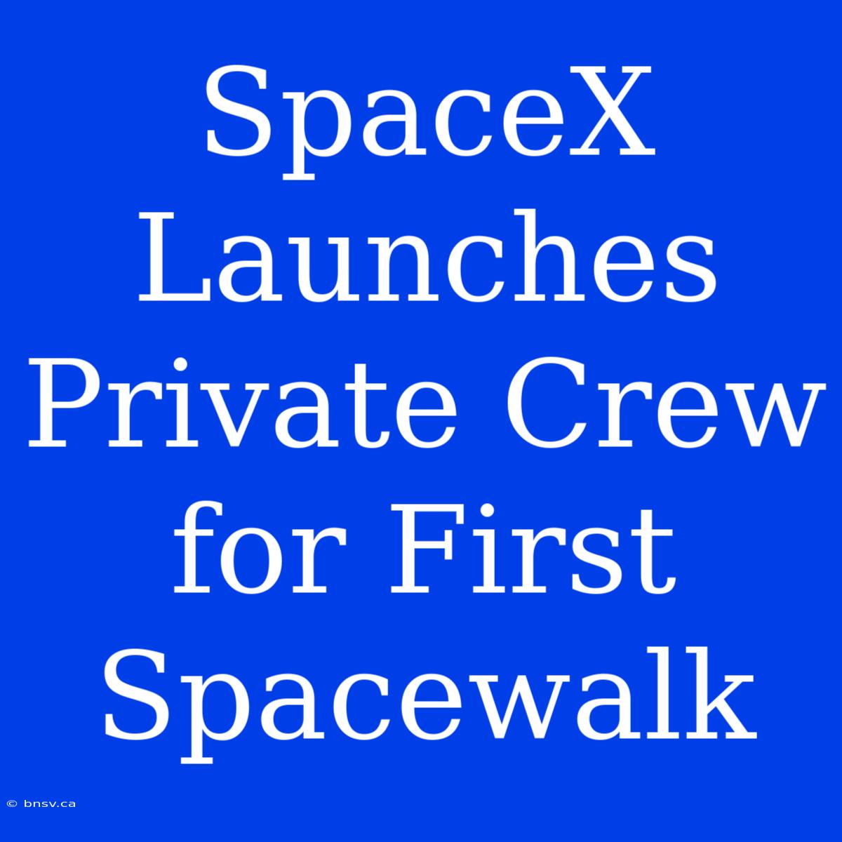 SpaceX Launches Private Crew For First Spacewalk