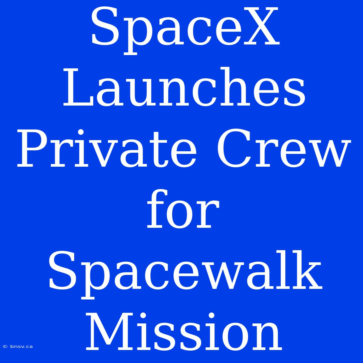 SpaceX Launches Private Crew For Spacewalk Mission