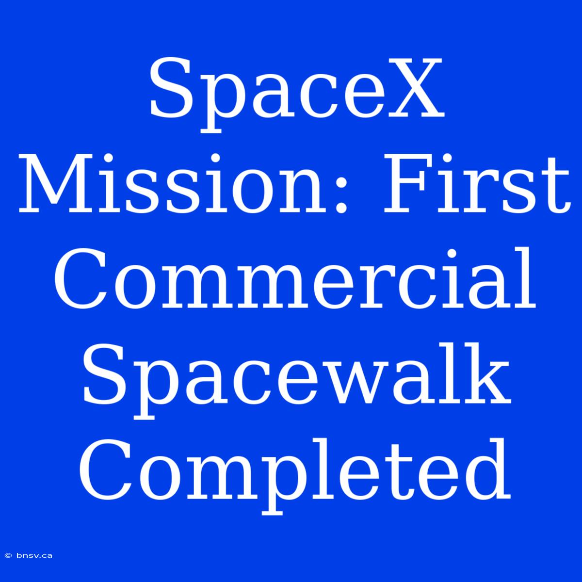 SpaceX Mission: First Commercial Spacewalk Completed