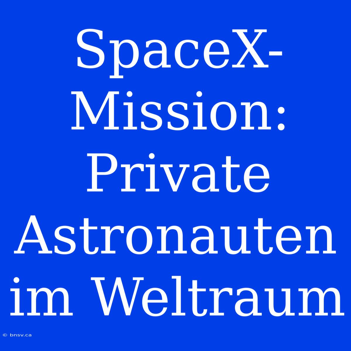 SpaceX-Mission: Private Astronauten Im Weltraum