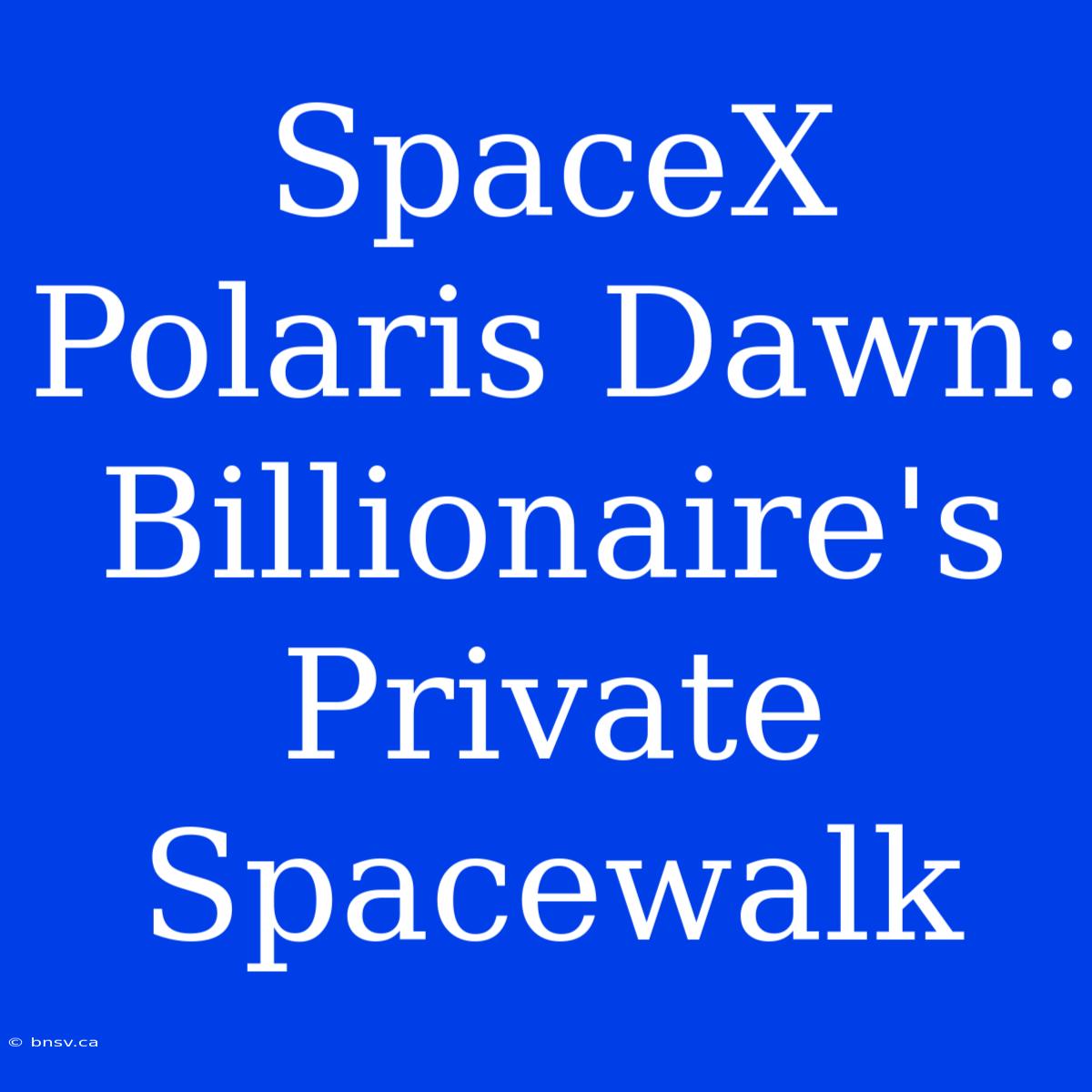 SpaceX Polaris Dawn: Billionaire's Private Spacewalk