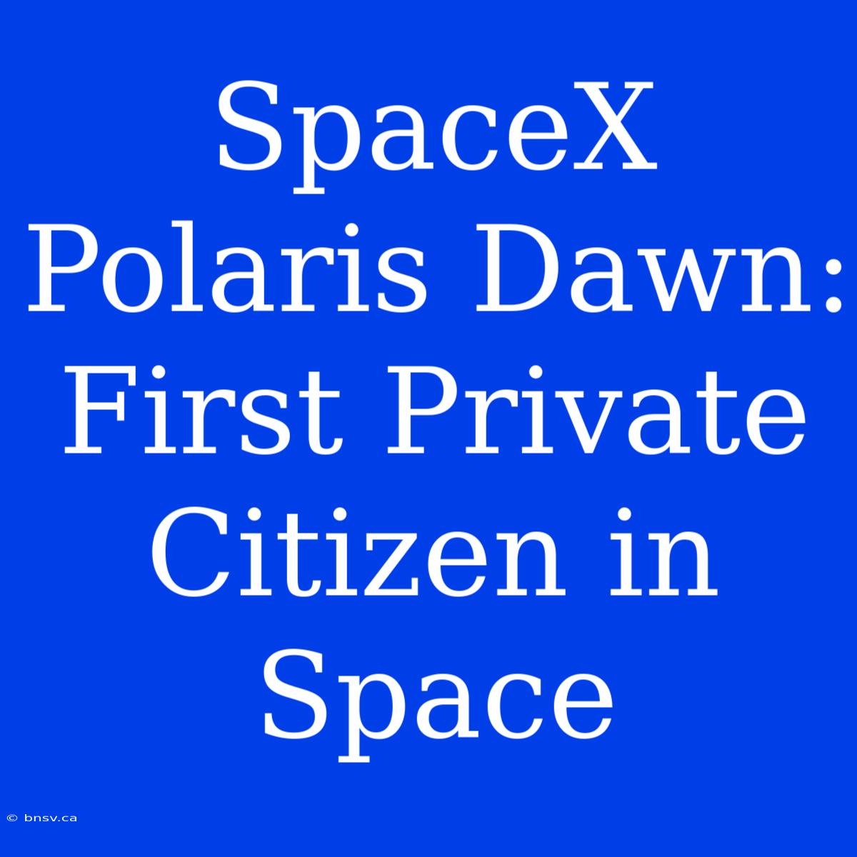 SpaceX Polaris Dawn: First Private Citizen In Space