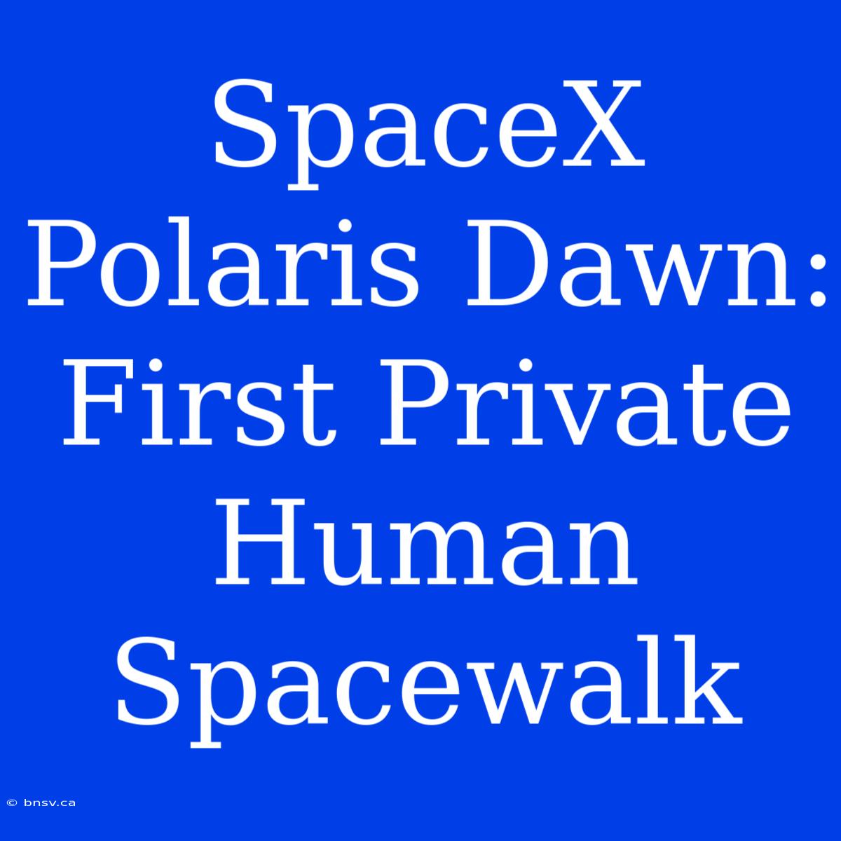 SpaceX Polaris Dawn: First Private Human Spacewalk