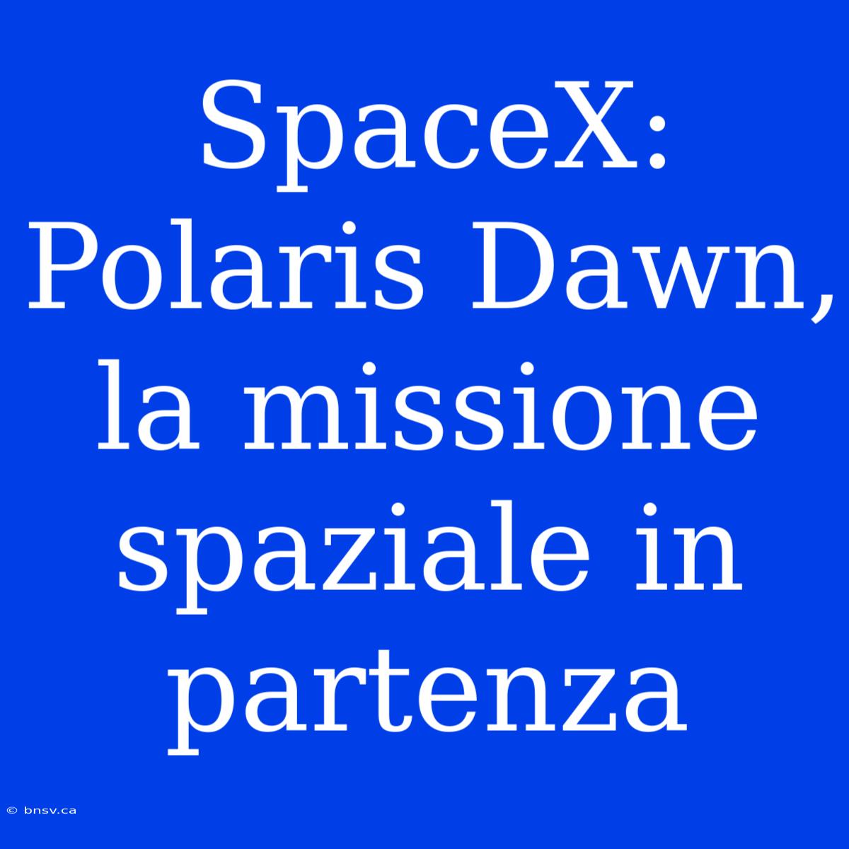 SpaceX: Polaris Dawn, La Missione Spaziale In Partenza