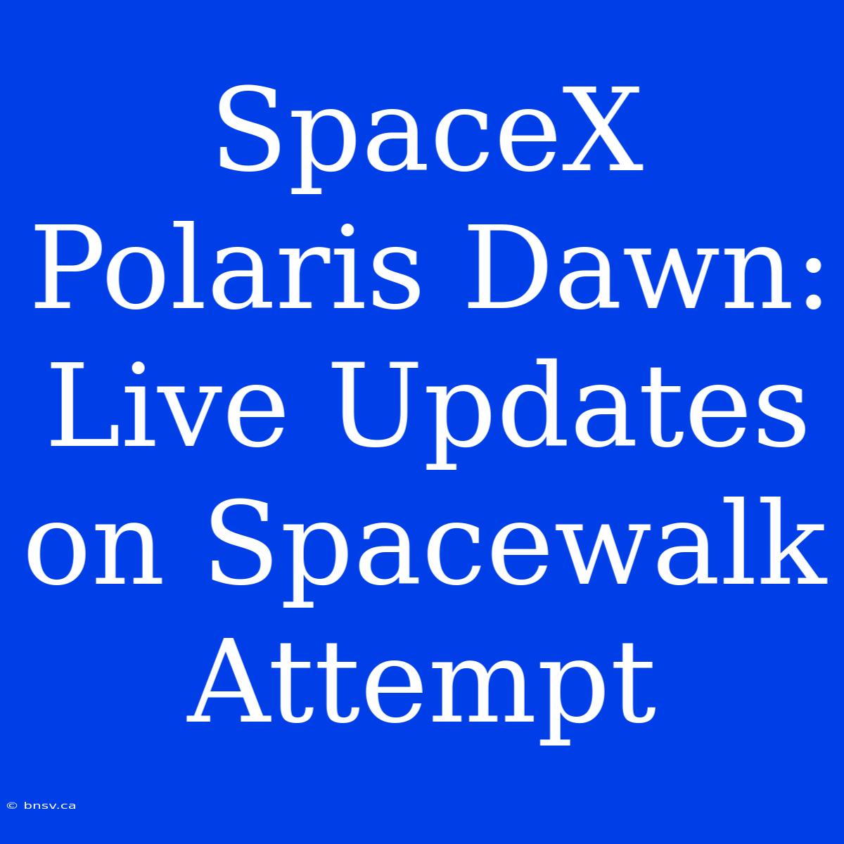 SpaceX Polaris Dawn: Live Updates On Spacewalk Attempt