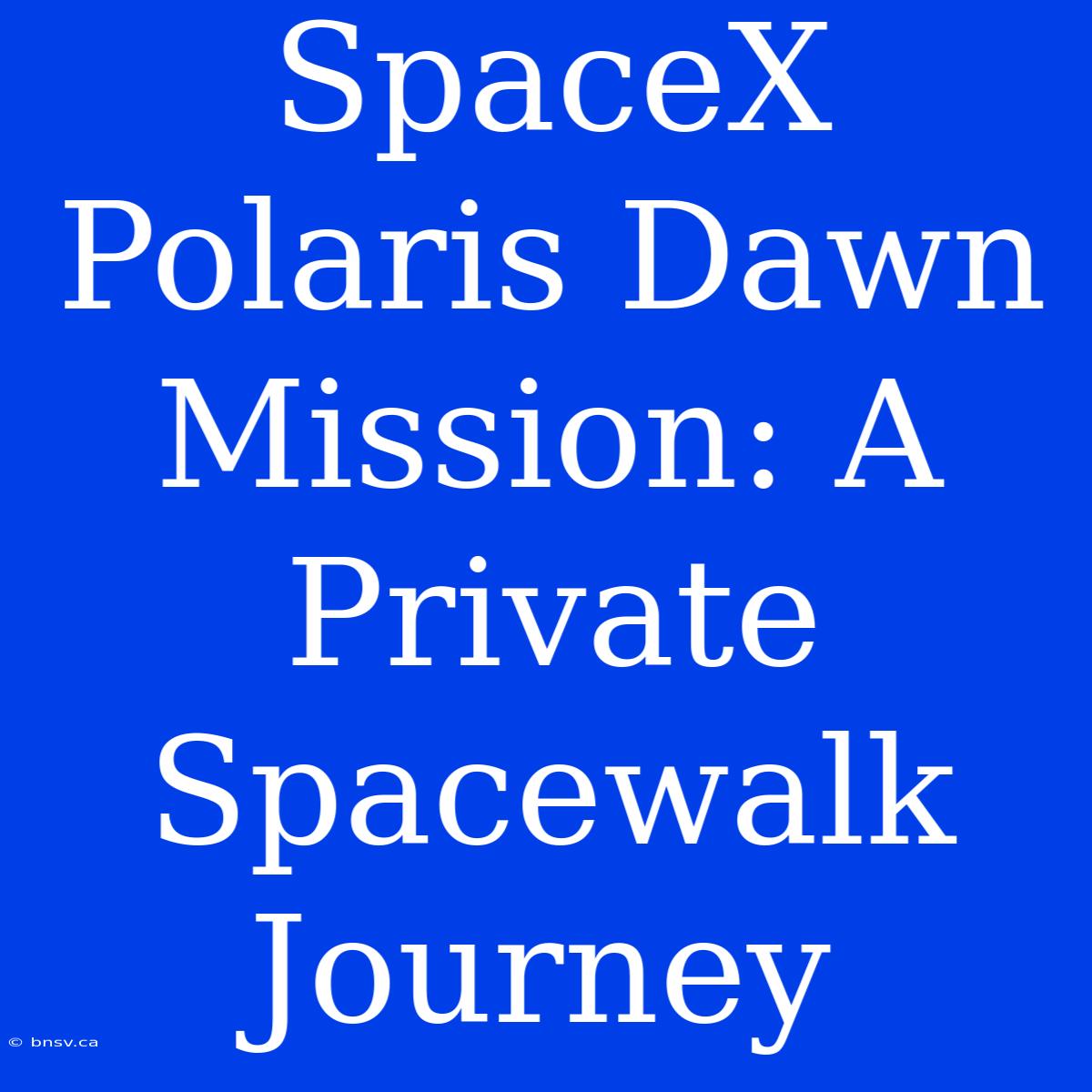 SpaceX Polaris Dawn Mission: A Private Spacewalk Journey