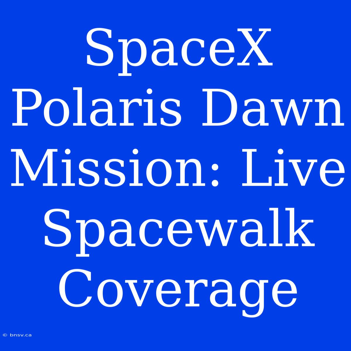 SpaceX Polaris Dawn Mission: Live Spacewalk Coverage