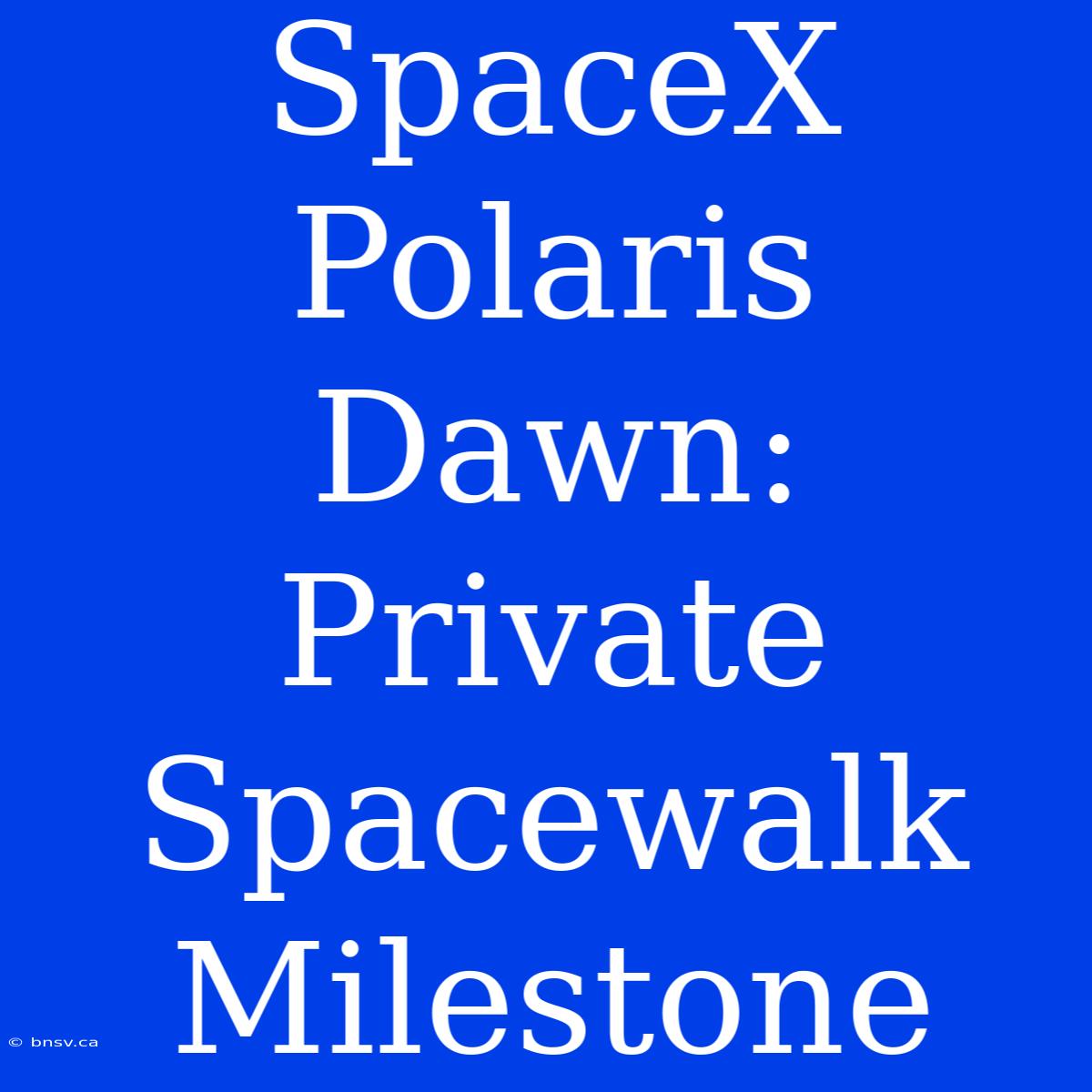 SpaceX Polaris Dawn: Private Spacewalk Milestone