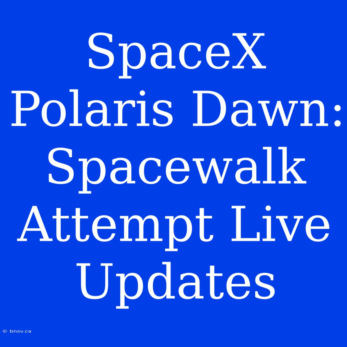 SpaceX Polaris Dawn: Spacewalk Attempt Live Updates