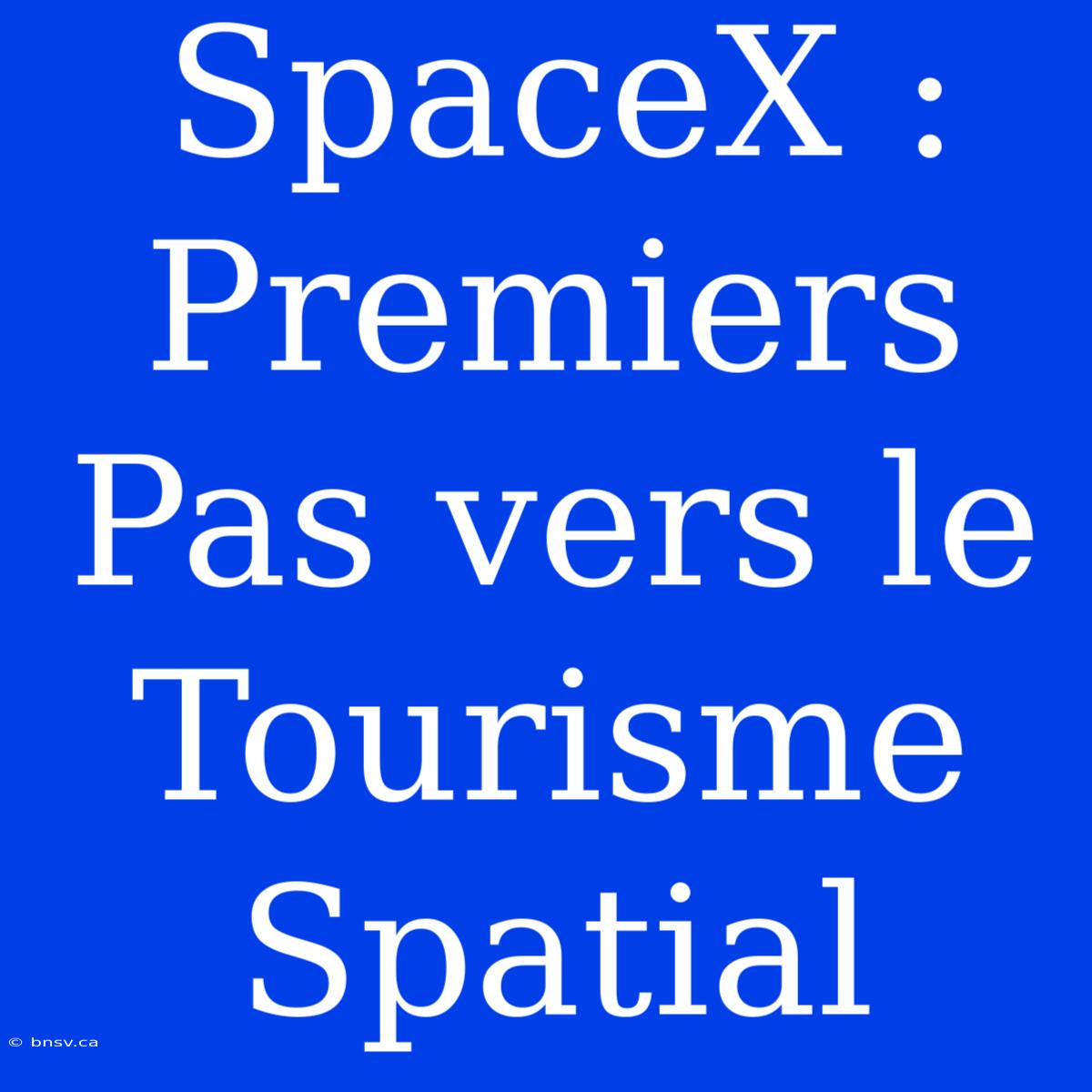 SpaceX : Premiers Pas Vers Le Tourisme Spatial