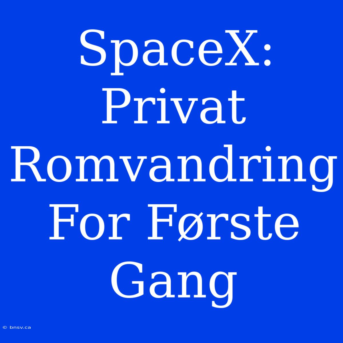 SpaceX: Privat Romvandring For Første Gang