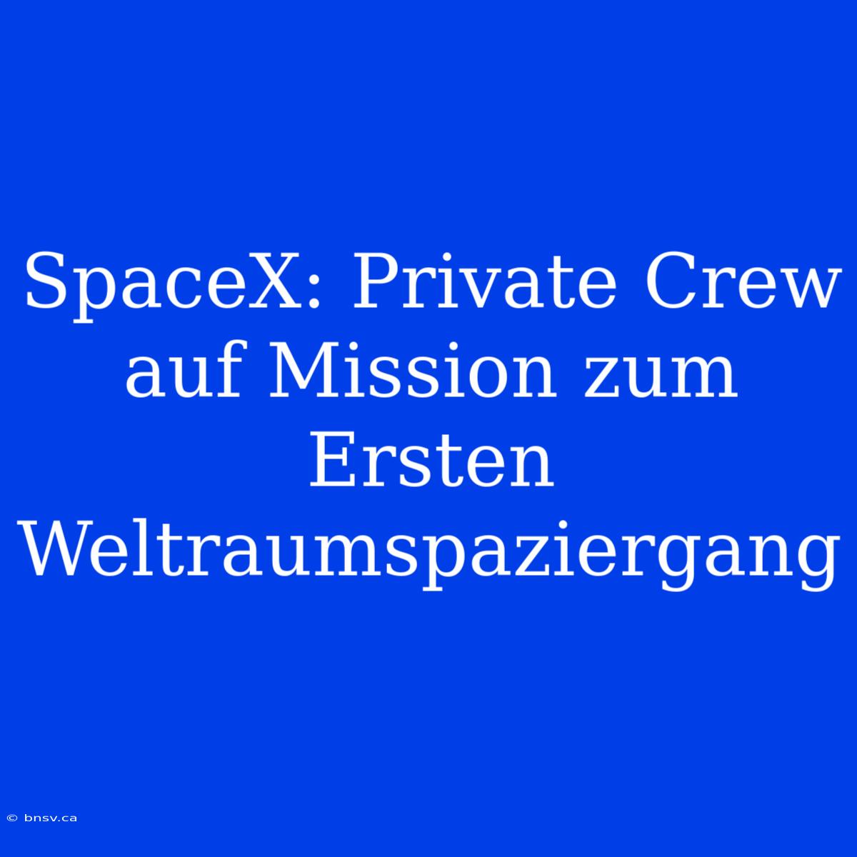 SpaceX: Private Crew Auf Mission Zum Ersten Weltraumspaziergang